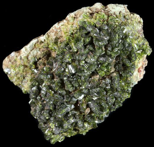 Lustrous Epidote Crystal Cluster - Morocco #49421